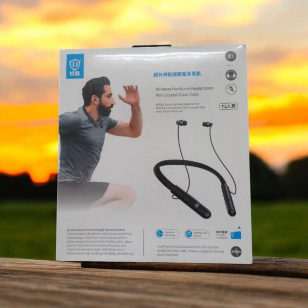 T2 hedphone